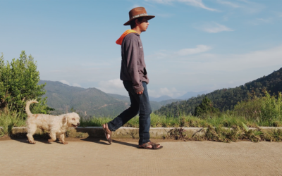 Los sonidos de la naturaleza y las comunidades de Oaxaca se harán presentes en Guanajuato con el cortometraje ‘Las Nubes Son de Música’.